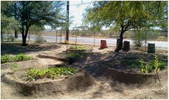 Raised-bed gardens at YouthWorks Charter High School